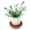 Oeuf Céramique Kit Lavande -Jardin Et Extérieur oeuf kit lavande