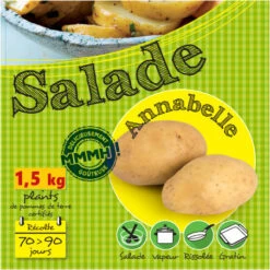 Plants De Pommes De Terre 1,5 Kg Annabelle