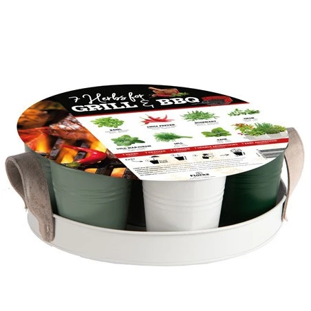 Plateau 7 Herbes Barbecue Et Grillades 4 Plateau 7 Herbes Barbecue Et Grillades – Image 2