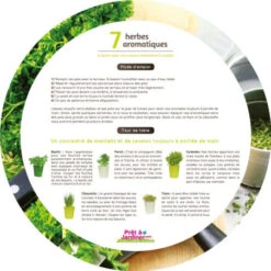 Plateau 7 Herbes Aromatiques -Jardin Et Extérieur plateau herbes aromatiques 2