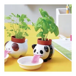 Pot Basilic Peropon Panda -Jardin Et Extérieur pot basilic peropon panda 1