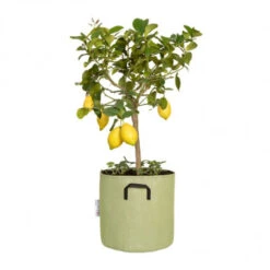 Pot De Plantation Respirant 30 Cm Vert