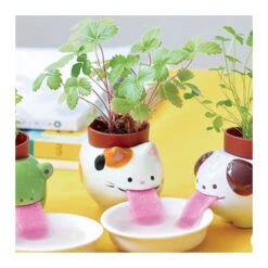 Pot Fraise Des Bois Peropon Chat -Jardin Et Extérieur pot fraise des bois peropon chat 1