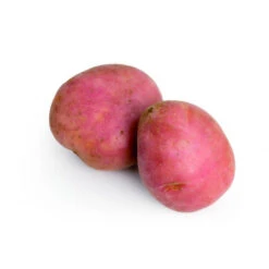 Rosabelle Rouge 60 Plants De Pomme De Terre -Jardin Et Extérieur rosabelle rouge 60 plants de pomme de terre 2