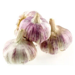 Rose Gayant 40+ Ail A Repiquer 500 Gr