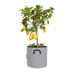 Sac à Plantation Respirant 30 Cm Gris