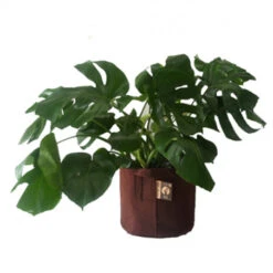 Sac à Plantes Marron 50 Cm Root Pouch -Jardin Et Extérieur sac a plantes marron 50 cm root pouch 2