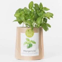 Sac Papier Prêt à Cultiver Basilic 13 Sac Papier Prêt à Cultiver Basilic -Jardin Et Extérieur sac papier pret a cultiver basilic 1