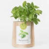 Sac Papier Prêt à Cultiver Basilic -Jardin Et Extérieur sac papier pret a cultiver basilic