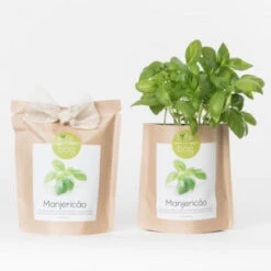 Sac Papier Prêt à Cultiver Basilic 17 Sac Papier Prêt à Cultiver Basilic -Jardin Et Extérieur sac papier pret a cultiver basilic 5
