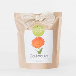 Sac Papier Prêt à Cultiver Calendula -Jardin Et Extérieur sac papier pret a cultiver calendula 2