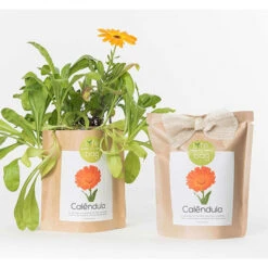Sac Papier Prêt à Cultiver Calendula -Jardin Et Extérieur sac papier pret a cultiver calendula 4