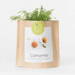 Sac Papier Prêt à Cultiver Camomille -Jardin Et Extérieur sac papier pret a cultiver camomille 1