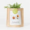 Sac Papier Prêt à Cultiver Camomille -Jardin Et Extérieur sac papier pret a cultiver camomille