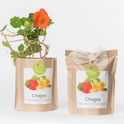 Sac Papier Prêt à Cultiver Capucine -Jardin Et Extérieur sac papier pret a cultiver capucine 5