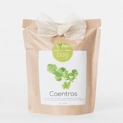Sac Papier Prêt à Cultiver Coriandre -Jardin Et Extérieur sac papier pret a cultiver coriandre 2
