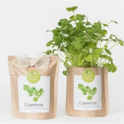 Sac Papier Prêt à Cultiver Coriandre -Jardin Et Extérieur sac papier pret a cultiver coriandre 5