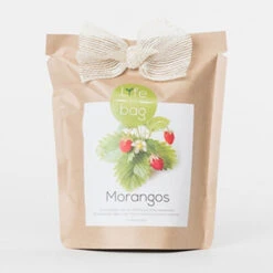 Sac Papier Prêt à Cultiver Fraise