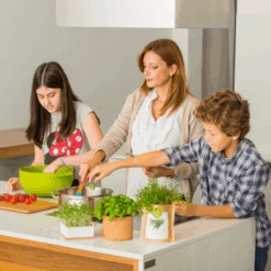 Sac Papier Prêt à Cultiver Menthe 17 Sac Papier Prêt à Cultiver Menthe -Jardin Et Extérieur sac papier pret a cultiver menthe 5