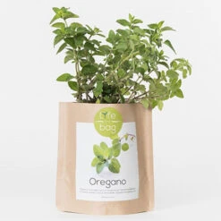 Sac Papier Prêt à Cultiver Origan -Jardin Et Extérieur sac papier pret a cultiver origan 1