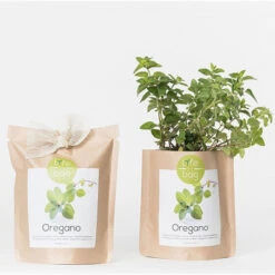 Sac Papier Prêt à Cultiver Origan -Jardin Et Extérieur sac papier pret a cultiver origan 4