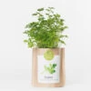 Sac Papier Prêt à Cultiver Persil 1 Sac Papier Prêt à Cultiver Persil -Jardin Et Extérieur sac papier pret a cultiver persil
