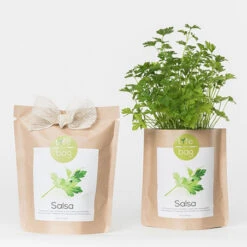 Sac Papier Prêt à Cultiver Persil 15 Sac Papier Prêt à Cultiver Persil -Jardin Et Extérieur sac papier pret a cultiver persil 5