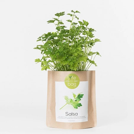 Sac Papier Prêt à Cultiver Persil 3 Sac Papier Prêt à Cultiver Persil