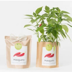 Sac Papier Prêt à Cultiver Piments 15 Sac Papier Prêt à Cultiver Piments -Jardin Et Extérieur sac papier pret a cultiver piments 5