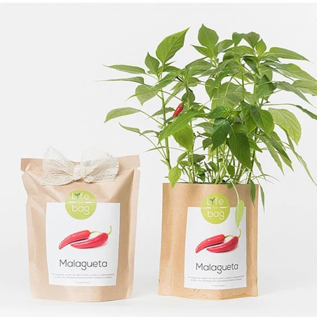 Sac Papier Prêt à Cultiver Piments 8 Sac Papier Prêt à Cultiver Piments – Image 6