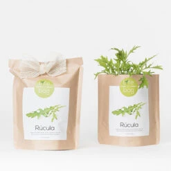 Sac Papier Prêt à Cultiver Roquette 15 Sac Papier Prêt à Cultiver Roquette -Jardin Et Extérieur sac papier pret a cultiver roquette 5