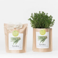 Sac Papier Prêt à Cultiver Thym -Jardin Et Extérieur sac papier pret a cultiver thym 4