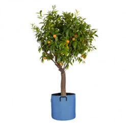 Sac Pour Plantations Respirant 40 Cm Bleu