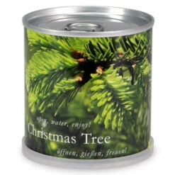 Sapin De Noël En Boite -Jardin Et Extérieur sapin de noel en boite 1