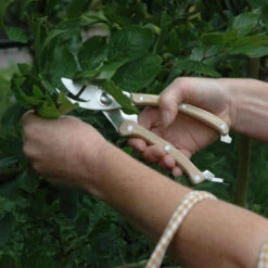 ESSCHERT DESIGN Sécateur En Bois Et Acier Inoxydable Végétaux -Jardin Et Extérieur secateur 6