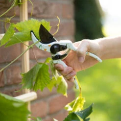 ESSCHERT DESIGN Sécateur Imprimé Abeilles 12 ESSCHERT DESIGN Sécateur Imprimé Abeilles -Jardin Et Extérieur secateur imprime abeilles 4