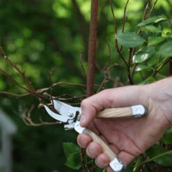 ESSCHERT DESIGN Sécateur Multifonction Pour Le Jardin -Jardin Et Extérieur secateur multi outils 4