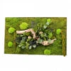 Tableau Végétal Mural Stabilisé 100cm B -Jardin Et Extérieur tableau vegetal mural stabilise 100cm b