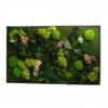 Tableau Végétal Mural Stabilisé 100cm N -Jardin Et Extérieur tableau vegetal mural stabilise 100cm n