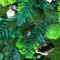 Tableau Végétal Mural Stabilisé 100cm N 17 Tableau Végétal Mural Stabilisé 100cm N -Jardin Et Extérieur tableau vegetal mural stabilise 100cm n 7