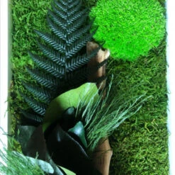 Tableau Végétal Mural Stabilisé 115cm B -Jardin Et Extérieur tableau vegetal mural stabilise 115cm b 7