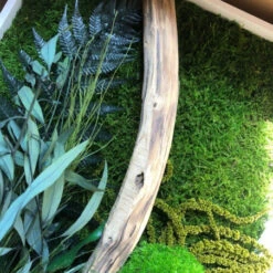 Tableau Végétal Mural Stabilisé 140cm B 15 Tableau Végétal Mural Stabilisé 140cm B -Jardin Et Extérieur tableau vegetal mural stabilise 140cm b 5