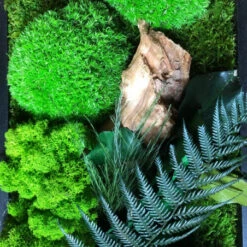 Tableau Végétal Mural Stabilisé 140cm N -Jardin Et Extérieur tableau vegetal mural stabilise 140cm n 7