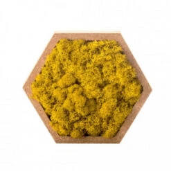 Tableau Végétal Mural Stabilisé 16cm J -Jardin Et Extérieur tableau vegetal mural stabilise 16cm j 1