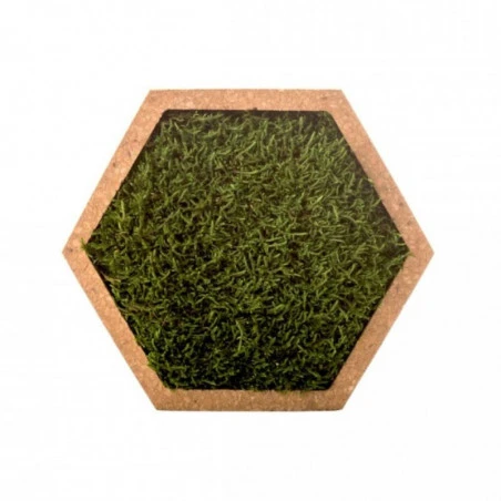 Tableau Végétal Mural Stabilisé 16cm M 4 Tableau Végétal Mural Stabilisé 16cm M – Image 2