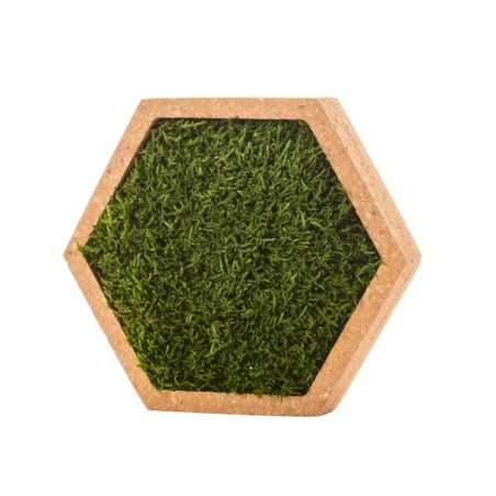 Tableau Végétal Mural Stabilisé 16cm M 5 Tableau Végétal Mural Stabilisé 16cm M – Image 3