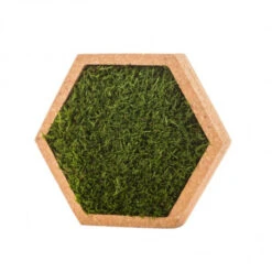 Tableau Végétal Mural Stabilisé 16cm M 11 Tableau Végétal Mural Stabilisé 16cm M -Jardin Et Extérieur tableau vegetal mural stabilise 16cm m 3