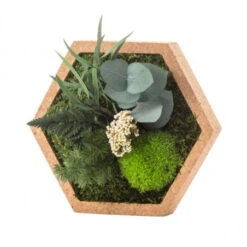 Tableau Végétal Mural Stabilisé 16cm Nat -Jardin Et Extérieur tableau vegetal mural stabilise 16cm nat 2