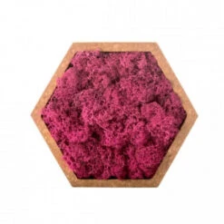 Tableau Végétal Mural Stabilisé 16cm R