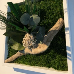 Tableau Végétal Mural Stabilisé 22cm Blanc -Jardin Et Extérieur tableau vegetal mural stabilise 22cm blanc 5